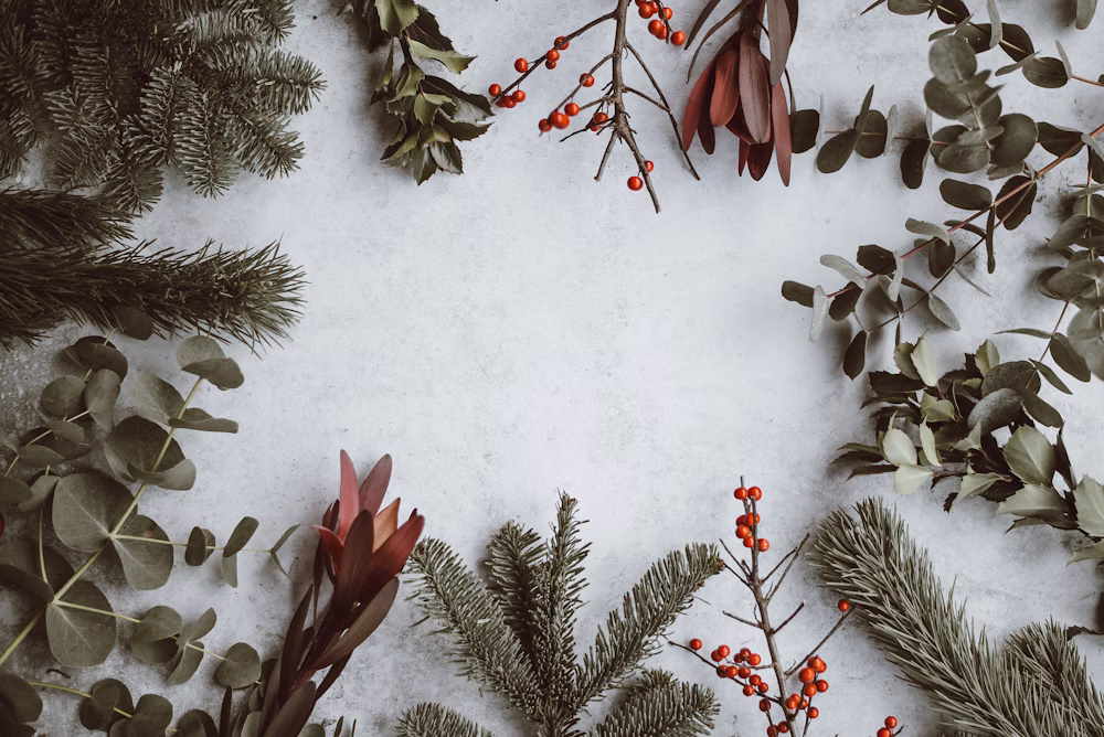 Boston Holiday Lights — A Festive Night Out
